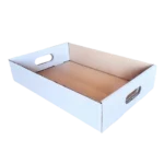 Bandeja Fondo Blanca 400x270x80 mm - Presentación Premium para Alimentos