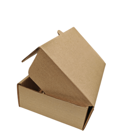 caja carton delivery 230x160x70