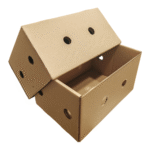 Caja para frutas XL 485x285x145 mm - Frutas, Verduras y Carnes - Imagen 2
