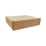 caja de carton delivery 400x400x100
